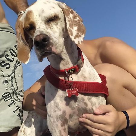 B&B Borgo Del Priolo - Petfriendly Cesena Eksteriør bilde