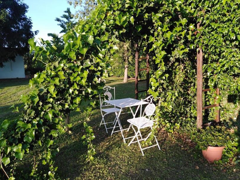 B&B Borgo Del Priolo - Petfriendly Cesena Eksteriør bilde