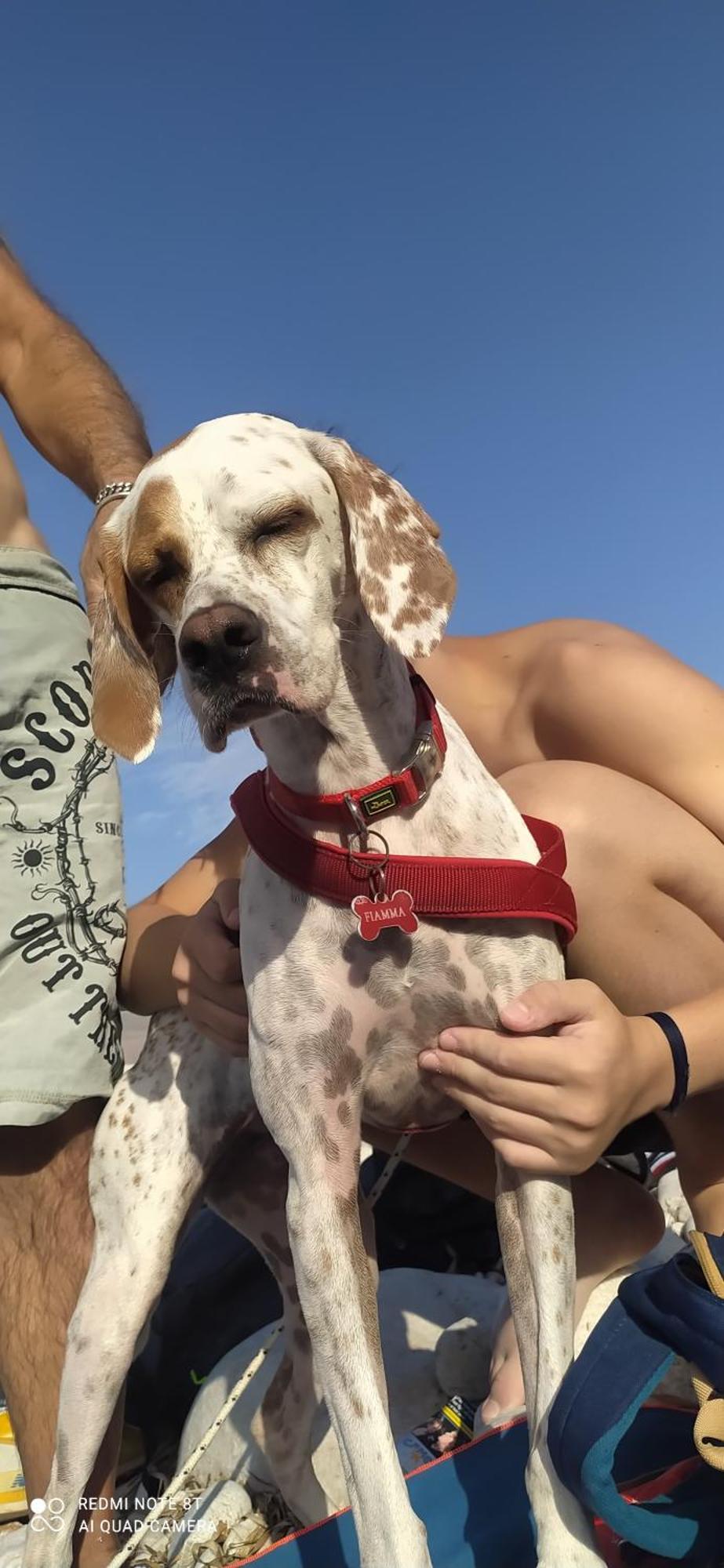 B&B Borgo Del Priolo - Petfriendly Cesena Eksteriør bilde